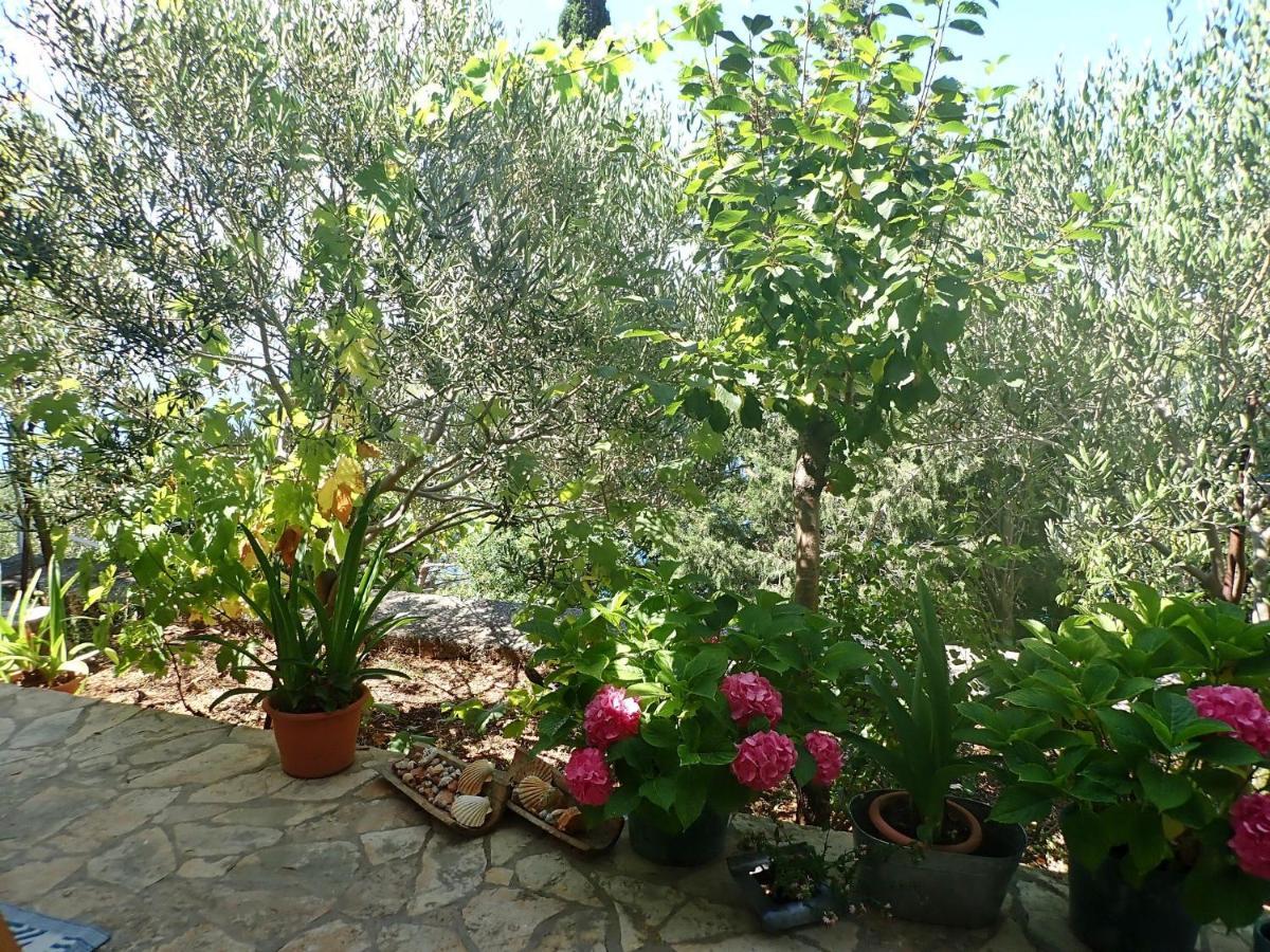 Studio Mare -30 M From A Lonely Beach Barić Draga Εξωτερικό φωτογραφία
